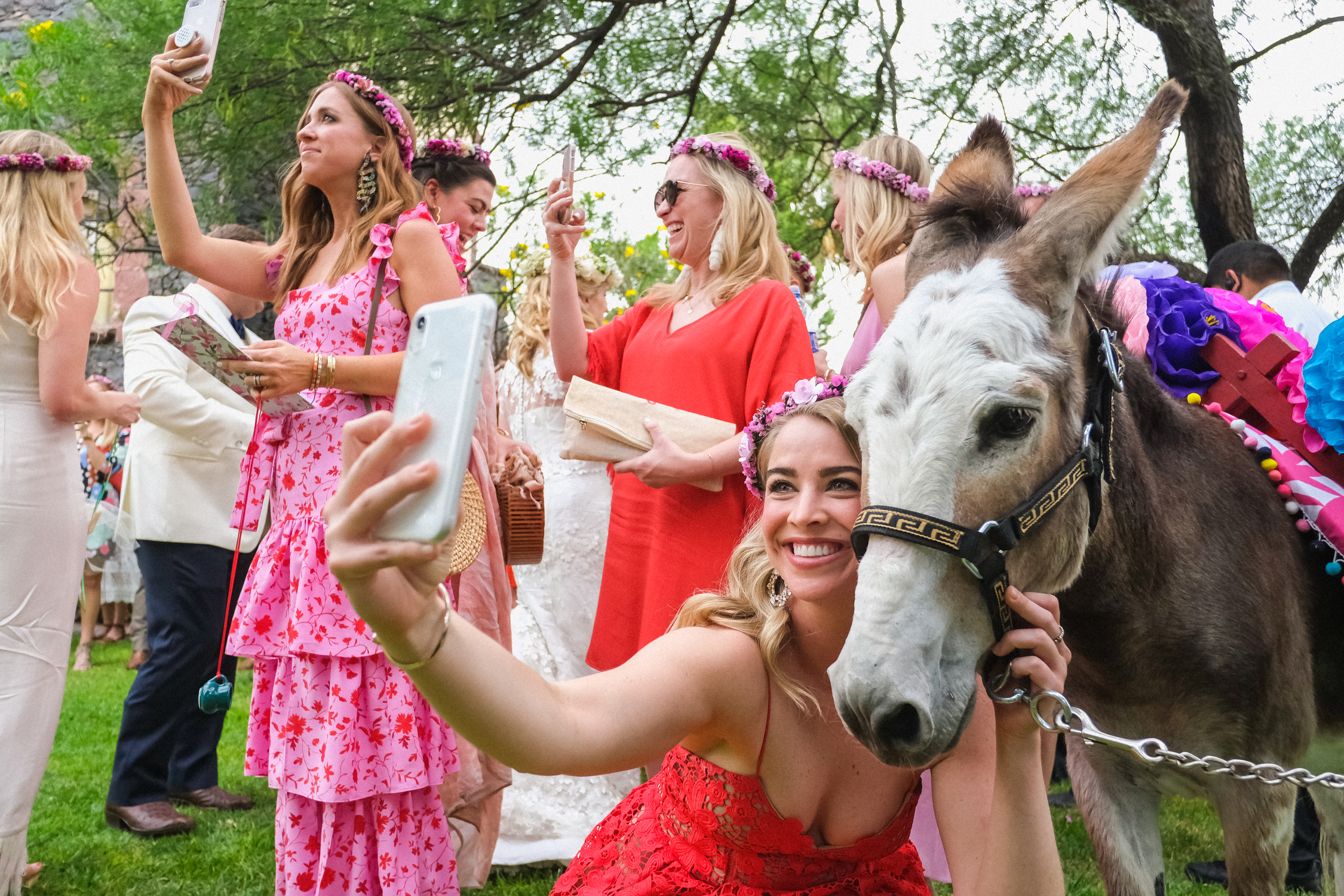 Guests making selfies with donkeys at wedding by Annie Bang of Los Angeles