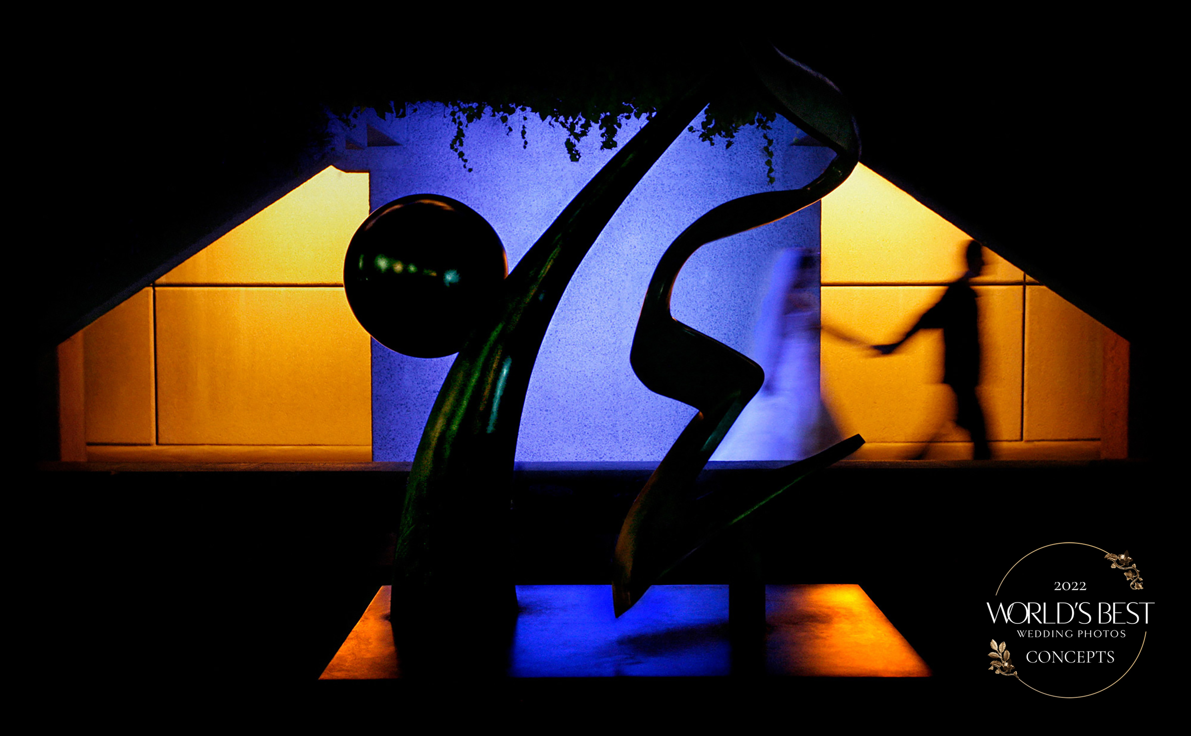 Best Use of Shadows in Wedding Photography Finalist Photo by Jerry Ghionis from Las Vegas, US