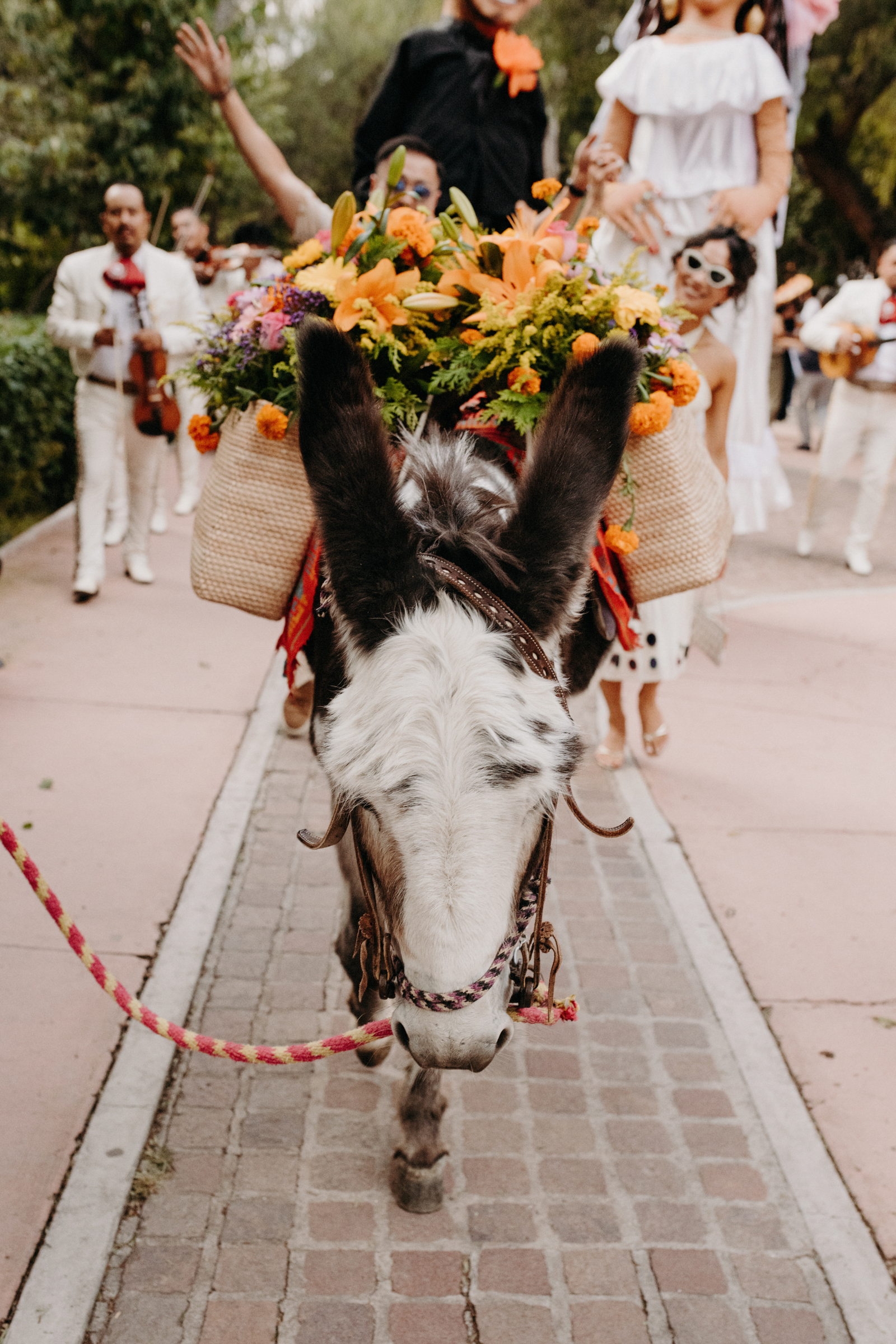 Villa Santa Monica wedding parade photographed by Anna Sauza