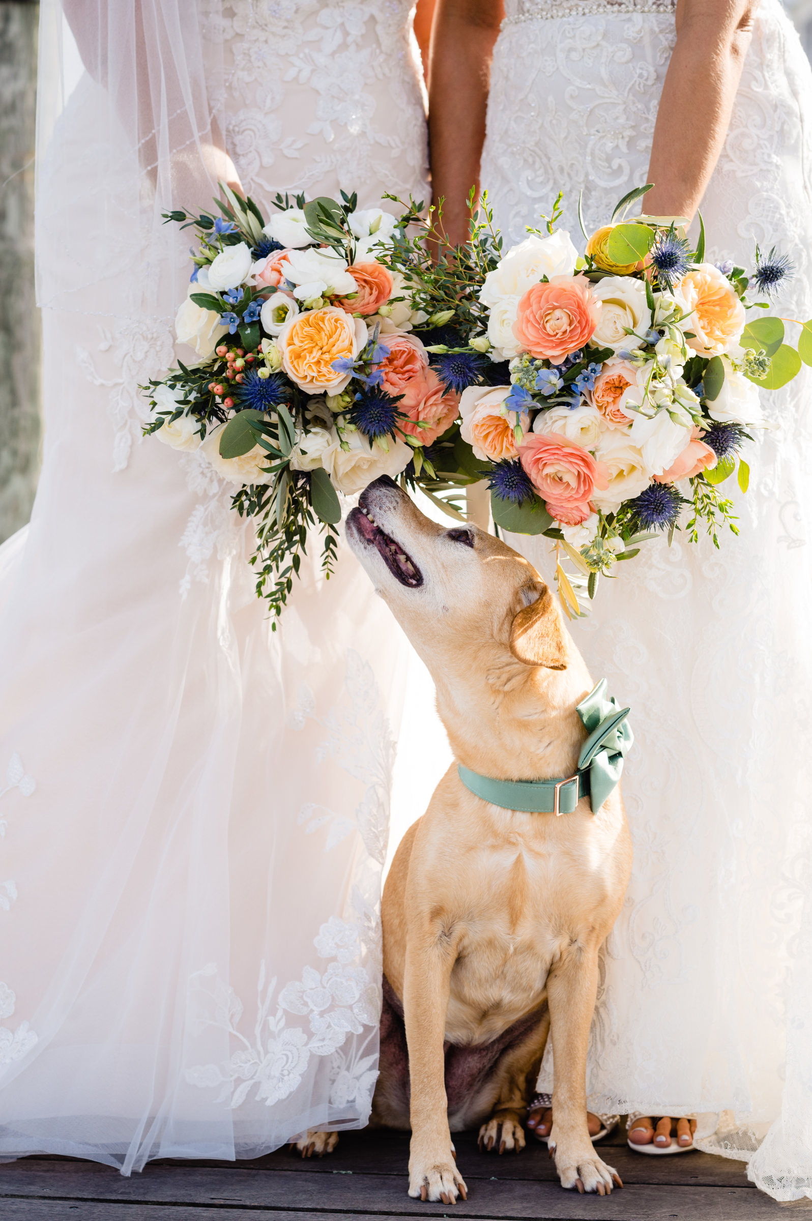 Colorful Summer Wedding Bouquets