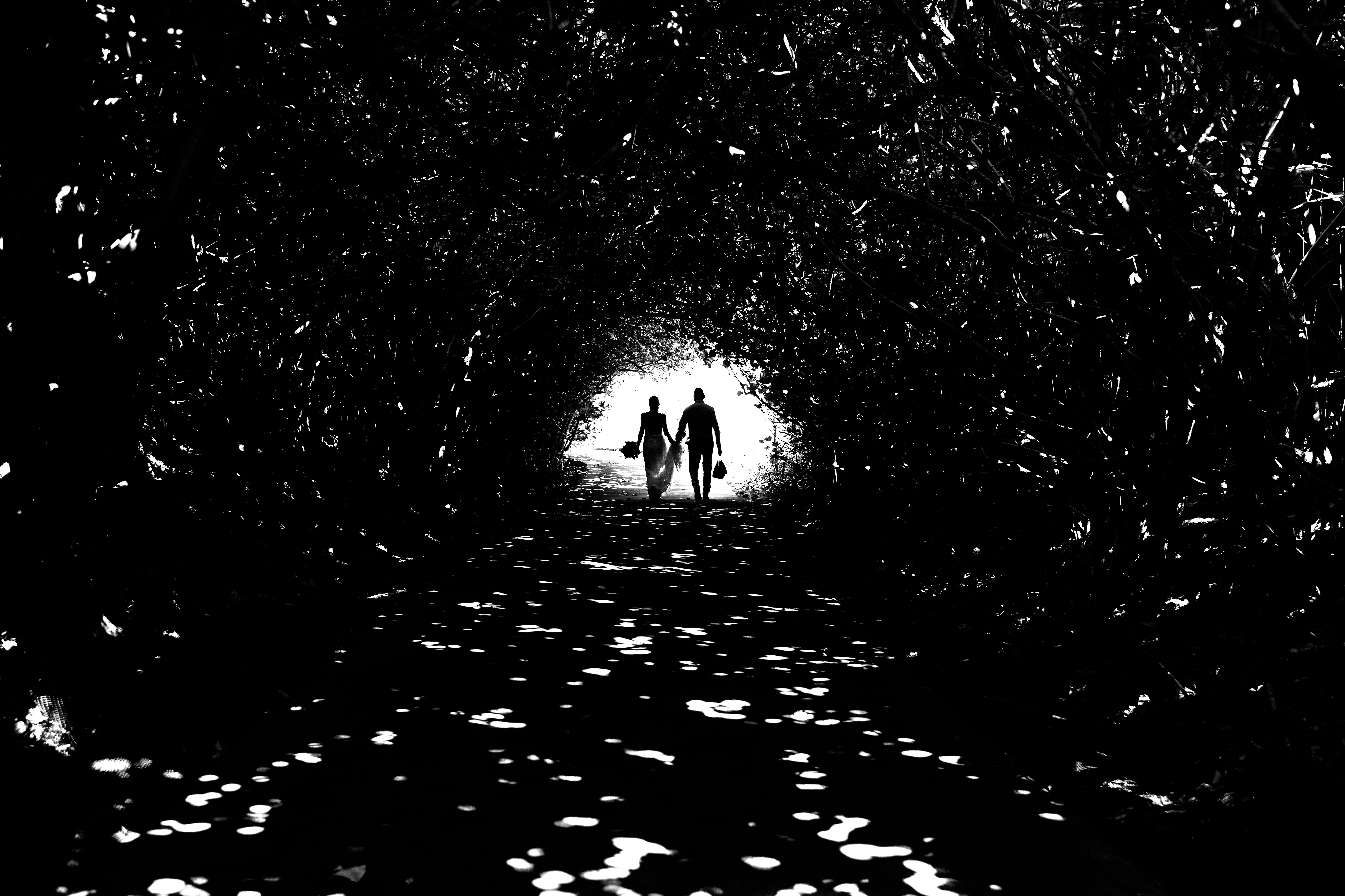 Award-winning-elopement-photo-Silhouette of couple against bramble tunnel - photo by Angela Nelson, Michigan photographer
