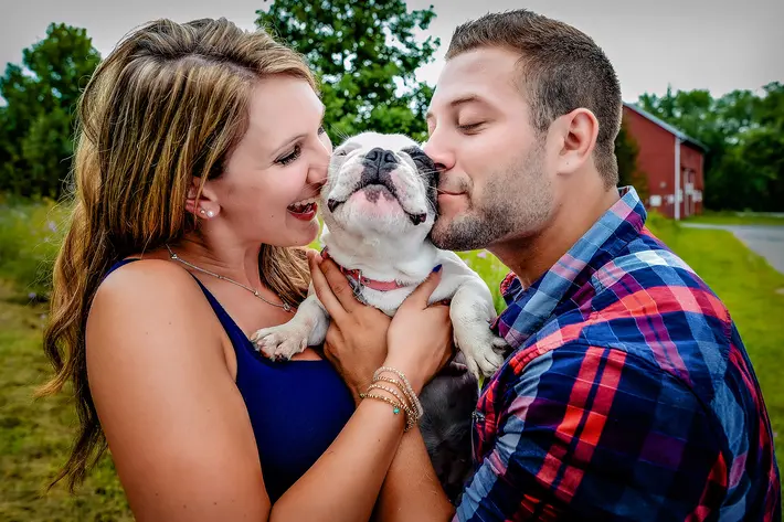 Dog show finalist - puppy with his parents during engagement session