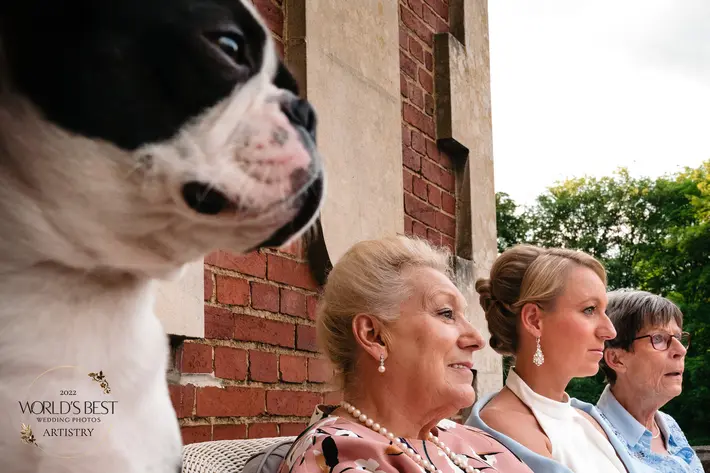 award-winner-dog-with-three-women-yves-schepers