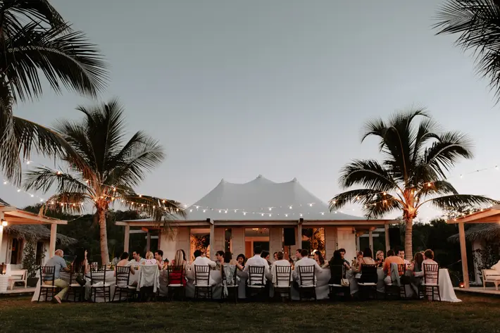 Tropical tent reception J. Olson Weddings
