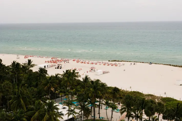 Carolina Guzik Photography at Palms Hotel and Spa Florida