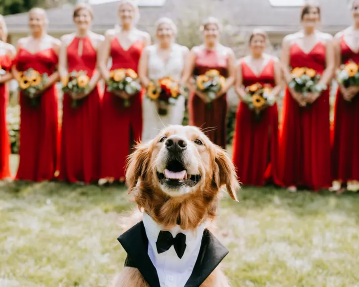 Fashon - bridesmaids and dog in tux -Photo by Tom Russo Photography